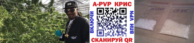 Alpha-PVP СК КРИС  купить закладку  Шацк 