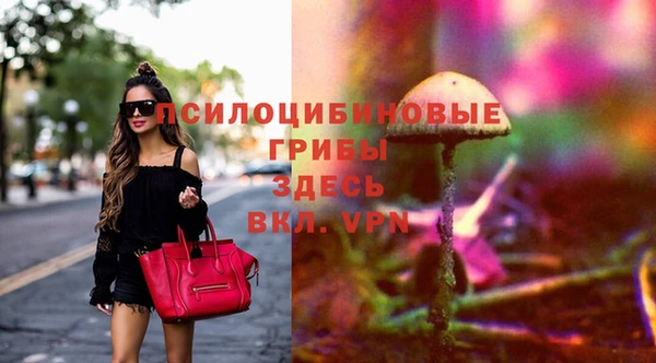 экстази Баксан