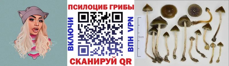 Псилоцибиновые грибы Magic Shrooms  Шацк 